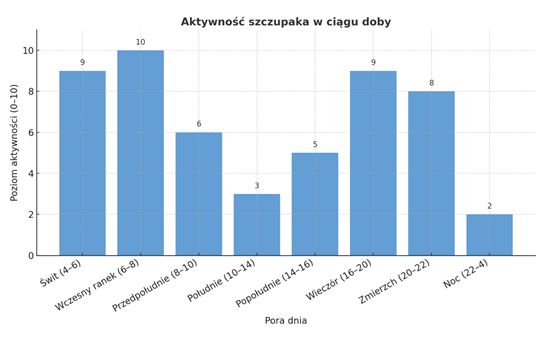 aktywność szczupaka w ciągu doby