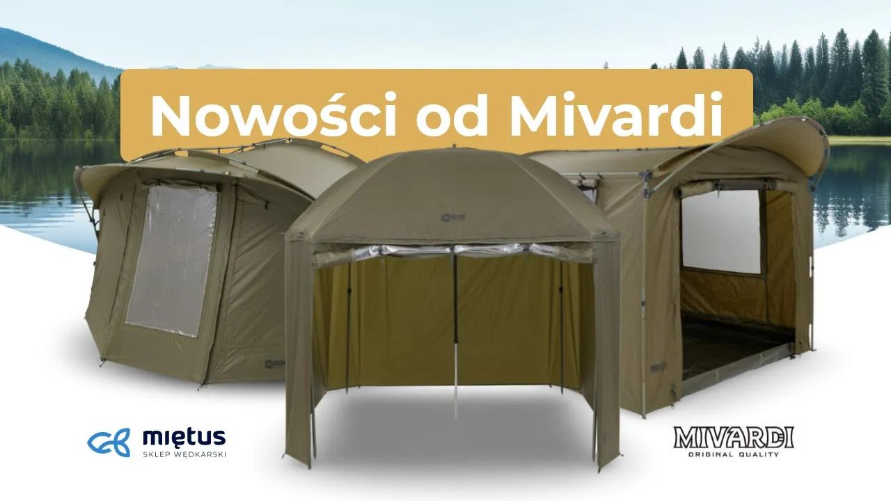 3 propozycje od Mivardi